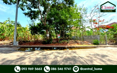 ที่ดิน รร.กสิณธรเซนต์ปีเตอร์ : ที่ดินถมแล้ว หมู่บ้าน ชัยพฤกษ์ วงแหวน - รัตนาธิเบศร์ ซอยวัดลาดปลาดุก ราคาถูก