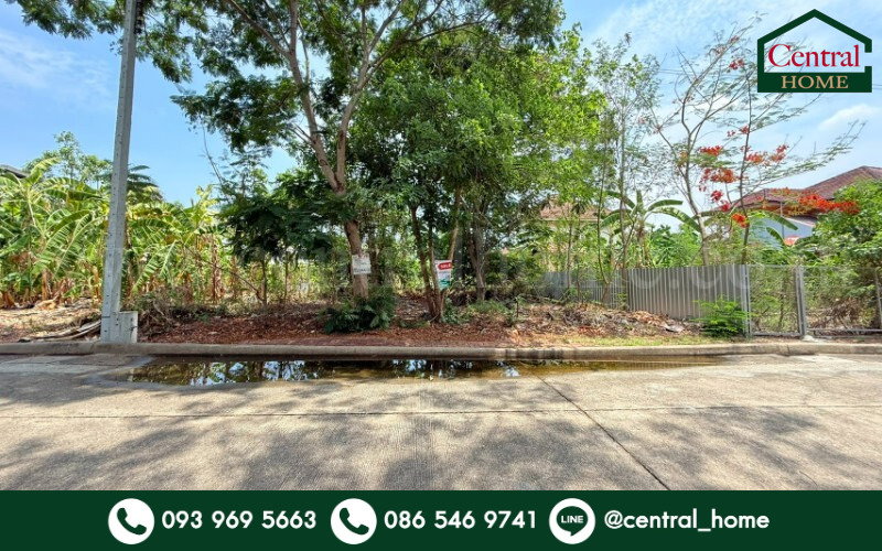 รูป ที่ดินถมแล้ว หมู่บ้าน ชัยพฤกษ์ วงแหวน - รัตนาธิเบศร์ ซอยวัดลาดปลาดุก ราคาถูก - รูปที่ 1/10