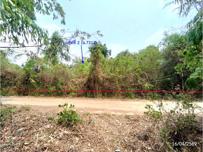 รูป ที่ดินว่างเปล่า 2669 ตร.วา เรณูนคร นครพนม 1.5M - รูปที่ 11/30