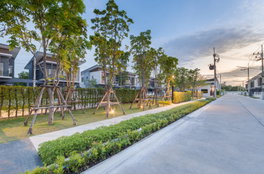 Project Baanfah Greenery Loft Pattaya Picture - 3/7