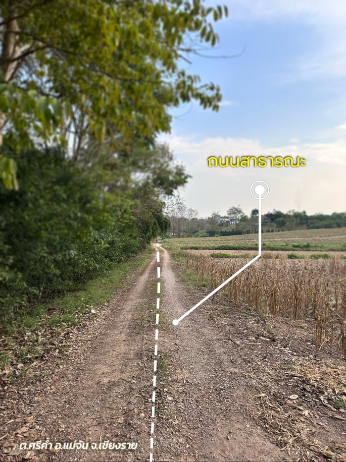 รูป ประกาศขายที่ดิน ทำเลศักยภาพ ใกล้ไร่ชาฉุยฟง แหล่งท่องเที่ยว ตำบลศรีค้ำ อำเภอแม่จัน - รูปที่ 10/11