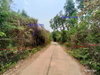 listing thumbnail image 25