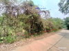 listing thumbnail image 22