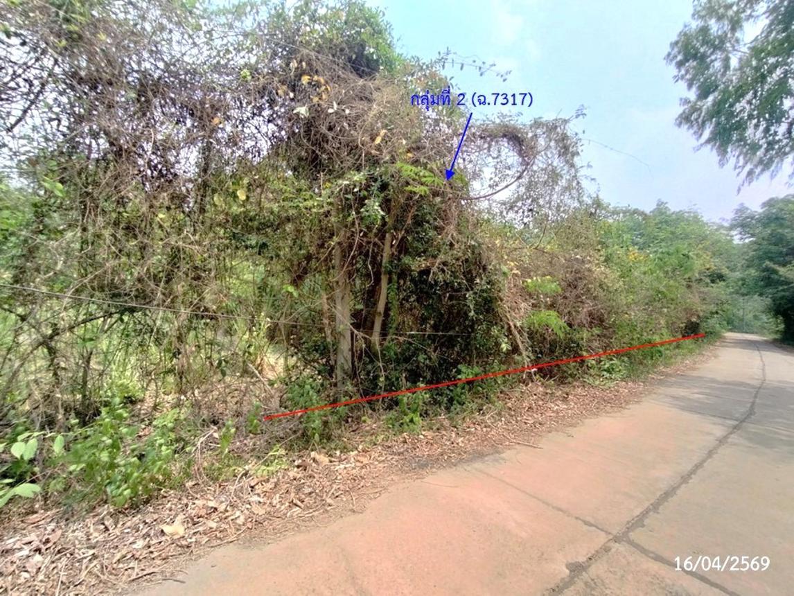 รูป ที่ดินว่างเปล่า 2669 ตร.วา เรณูนคร นครพนม 1.5M - รูปที่ 23/30