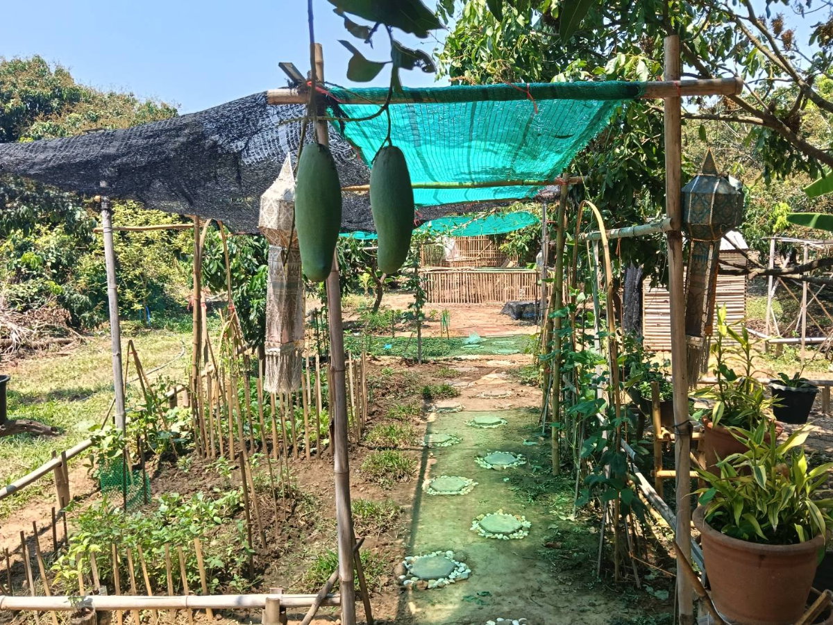 รูป บ้านสวนล้านนาประยุกต์ พร้อมธุรกิจโฮมสเตย์ดำเนินกิจการต่อได้เลย - รูปที่ 16/39