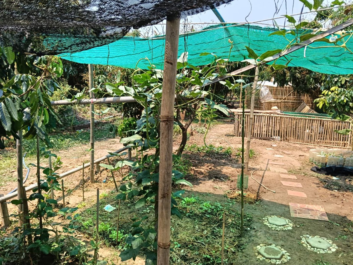 รูป บ้านสวนล้านนาประยุกต์ พร้อมธุรกิจโฮมสเตย์ดำเนินกิจการต่อได้เลย - รูปที่ 7/39