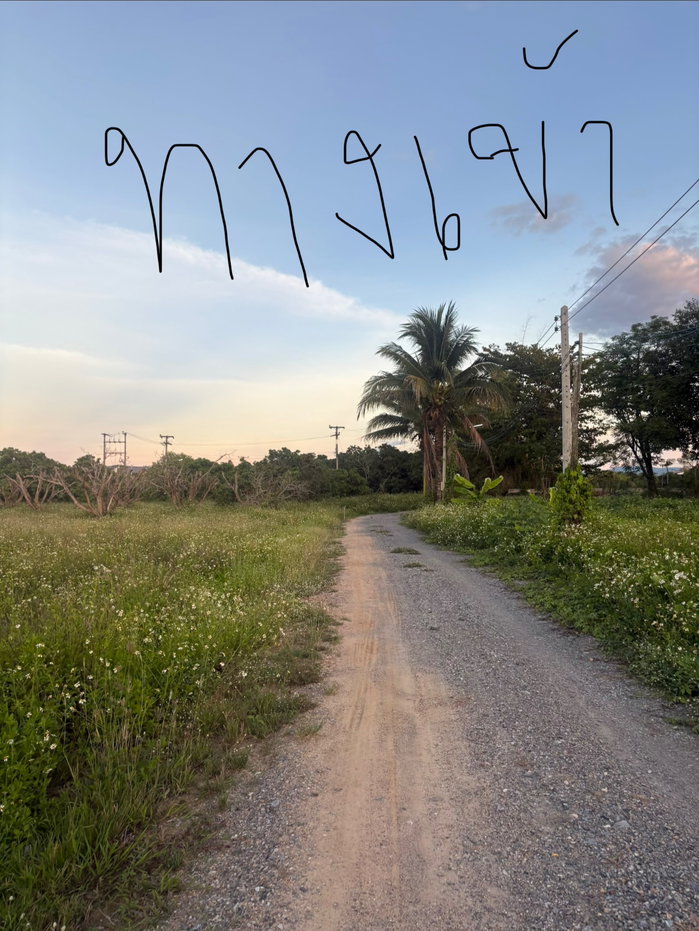 รูป เหมาะสร้างบ้านสวน! ขายที่ดิน 1 งาน พิกัดใกล้ป่าซาง ลำพูน บรรยากาศดี ร่มรื่น - รูปที่ 7/7