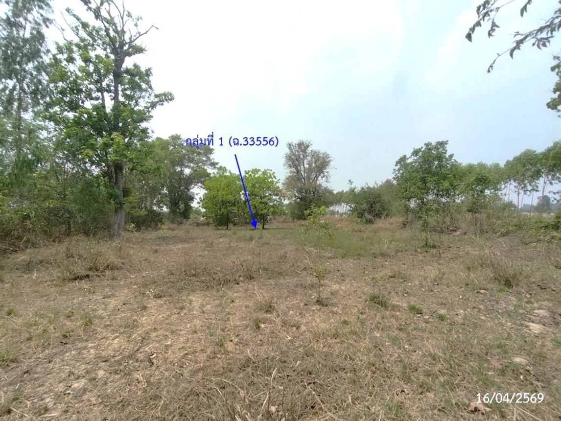 รูป ที่ดินว่างเปล่า 2669 ตร.วา เรณูนคร นครพนม 1.5M - รูปที่ 17/30