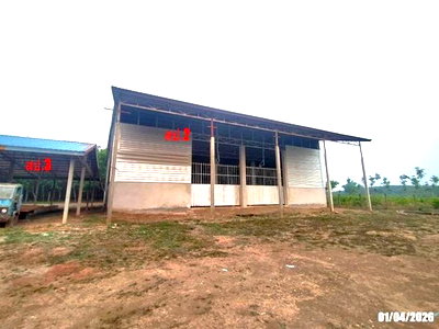 ขายโรงงาน : โกดัง 2000 ตร.วา เมืองบึงกาฬ บึงกาฬ 5.5M