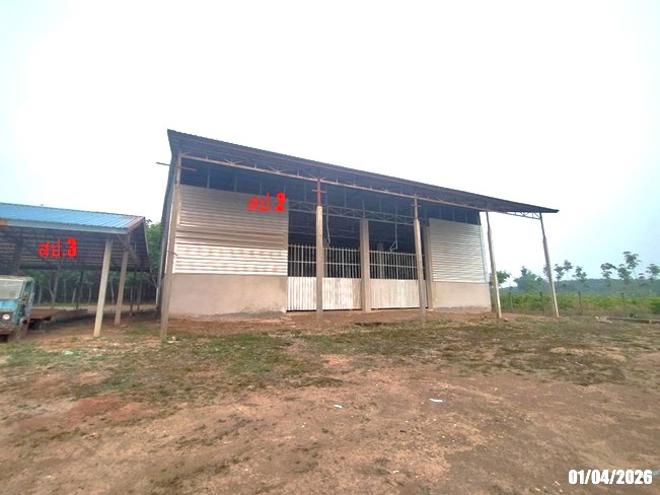 รูป โกดัง 2000 ตร.วา เมืองบึงกาฬ บึงกาฬ 5.5M - รูปที่ 1/32