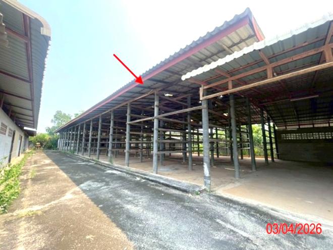 รูป โกดัง 395.1 ตร.วา บ้านโฮ่ง ลำพูน 1.5M - รูปที่ 10/44