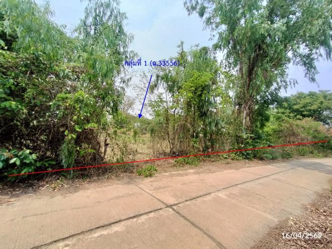 รูป ที่ดินว่างเปล่า 2669 ตร.วา เรณูนคร นครพนม 1.5M - รูปที่ 3/30