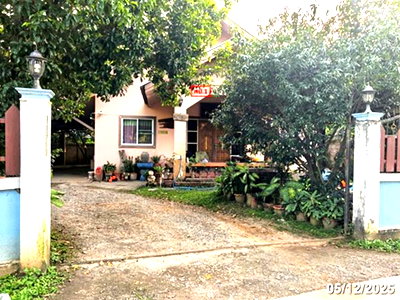 ขายบ้านเดี่ยว : บ้านเดี่ยว 143 ตร.วา สันป่าตอง เชียงใหม่ 3.2M