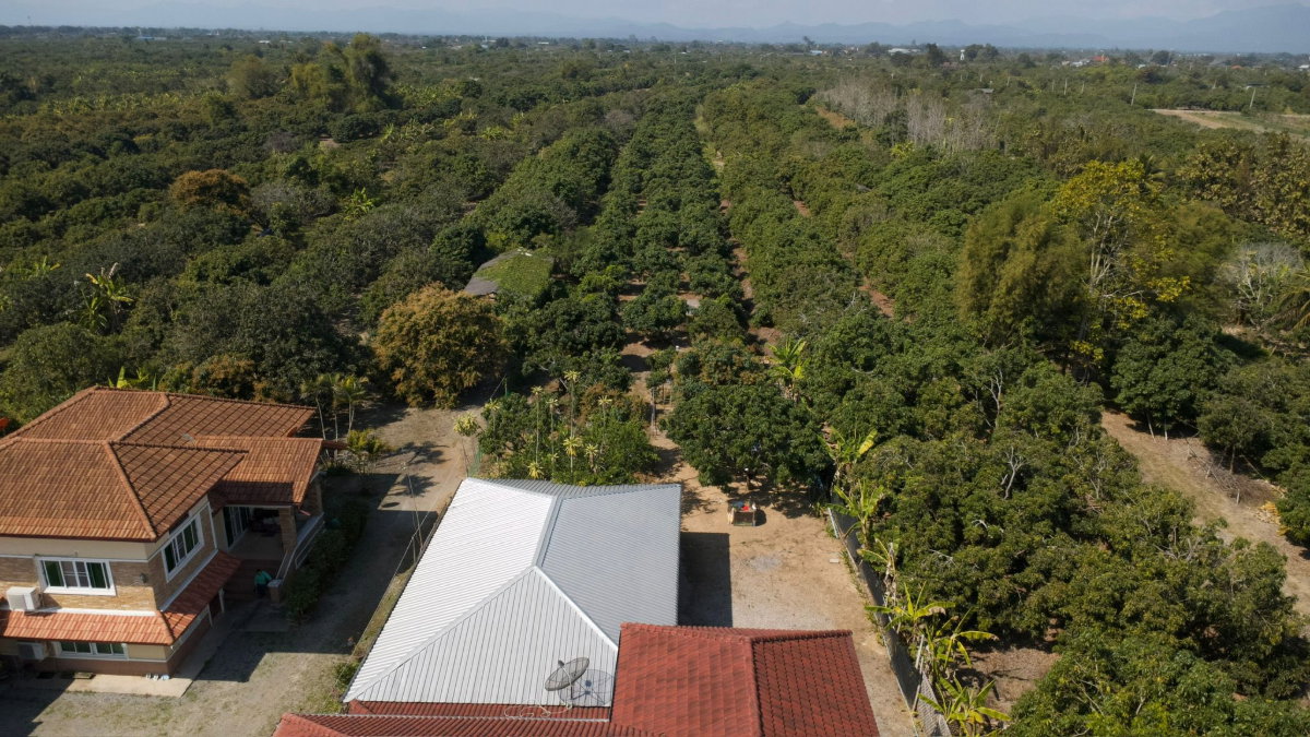 รูป บ้านสวนล้านนาประยุกต์ พร้อมธุรกิจโฮมสเตย์ดำเนินกิจการต่อได้เลย - รูปที่ 2/39