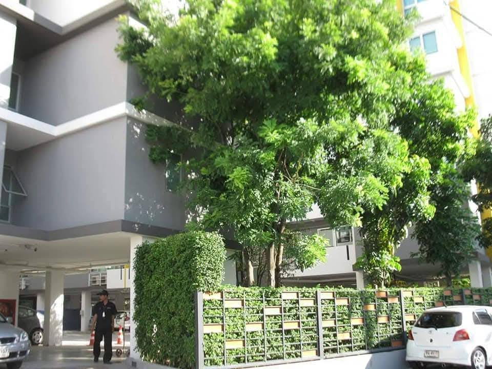 รูป ให้เช่า มายคอนโด สุขุมวิท 52 BTS อ่อนนุช BTS On Nut 290 เมตร - รูปที่ 13/15