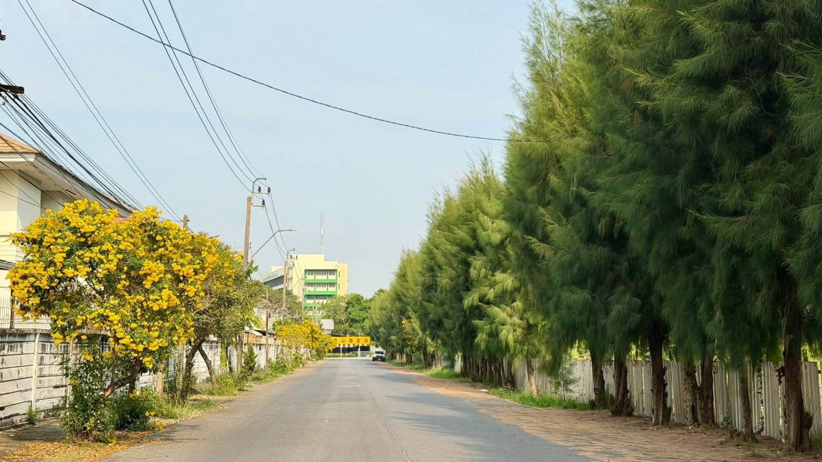 picture For Sell at Golden Place Village - 2/26