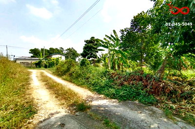 ที่ดิน เขตมีนบุรี : ขายที่ดิน 214 ตรว.ม.เพชรมณี ราษฎร์อุทิศ 18  สุวินทวงศ์ มีนบุรี ด้านหลังติดคลองโตนด