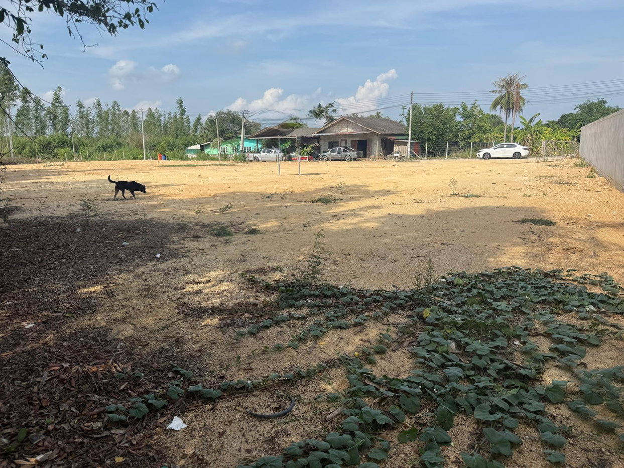 picture Land for Sale Huay Yai Na Jomtien Ideal for Pool Villa Investment - 3/5