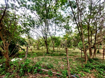 Land for sale Hang Dong Chiang Mai : Exclusive Investment Opportunity: Expansive 360° Mountain View Estate in Ban Pong, Hang Dong, Chiang Mai