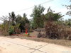 listing thumbnail image 13