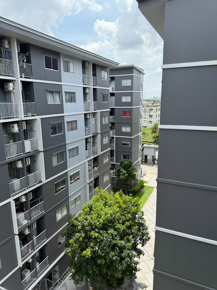 picture For rent: Plum Park Rangsit (Phase 2) — very cheap price! - 15/16