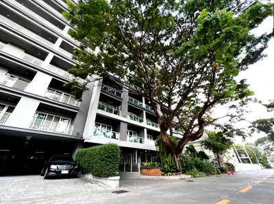 คอนโด เชียงใหม่ : 🏢✨ ขายคอนโดหรู ใจกลางนิมมาน พร้อมผู้เช่า 💸 ห้องใหญ่ แยกห้องนอนและห้องรับแขกเป็นสัดส่วน