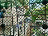 listing thumbnail image 22