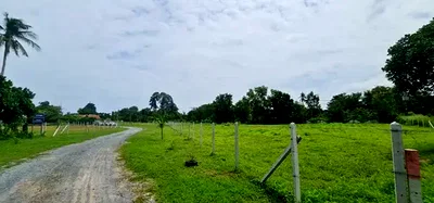 Land for sale Bang Lamung Chonburi : Divided land for Sale in Huay Yai