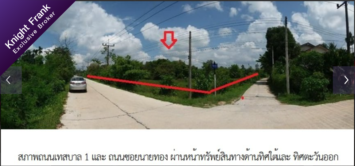 รูป ที่ดินว่างเปล่า 9513.3 ตร.วา ป่าบอน-พัทลุง ป่าบอน พัทลุง 62M - รูปที่ 8/8
