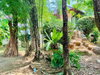 listing thumbnail image 33