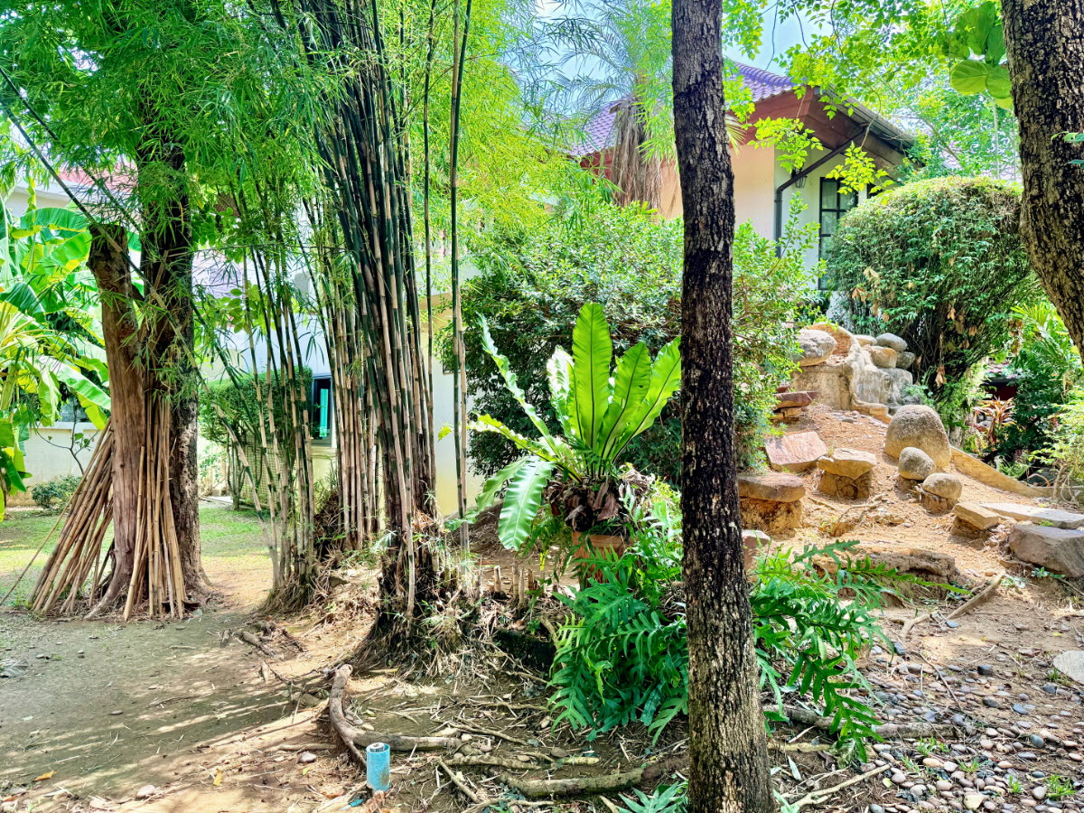 รูป ขายบ้านเดี่ยวห้องมุมหลังใหญ่ 216 ตร.ว. กฤษดานคร18 ทิศใต้รับลม พื้นที่ใช้สอยครบครัน 4 นอน 5 น้ำ ย่านศาลาธรรมสพน์ - เพียง 14.9 ล้าน! - รูปที่ 34/42