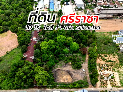 ที่ดิน นิคมปิ่นทอง : ขายที่ดินแปลงใหญ่ 10 ไร่กว่า ทำเลศักยภาพใกล้ เจปาร์ค ศรีราชา