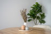 listing thumbnail image 24