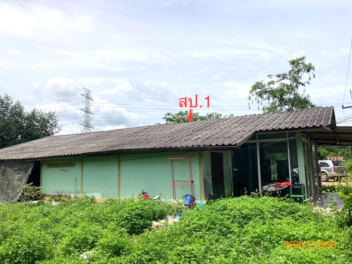 รูป บ้านเดี่ยว 343 ตร.วา พุนพิน สุราษฎร์ธานี 2.9M - รูปที่ 13/24