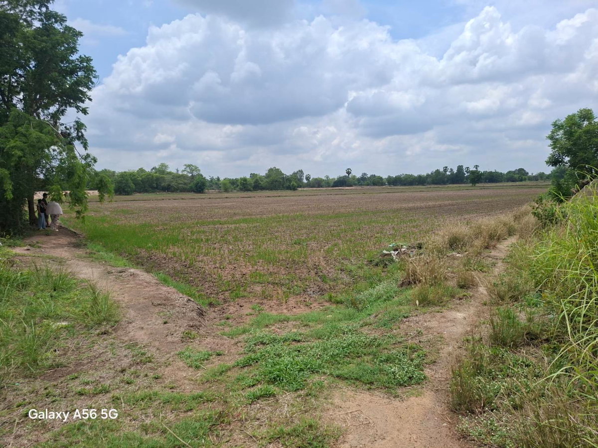 รูป ขายที่ดิน 31 ไร่ 322 ตร.วา ติดถนนใหญ่ หนองขาหย่าง อุทัยธานี ผังเมืองสีชมพู - รูปที่ 13/17