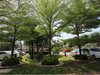 listing thumbnail image 11