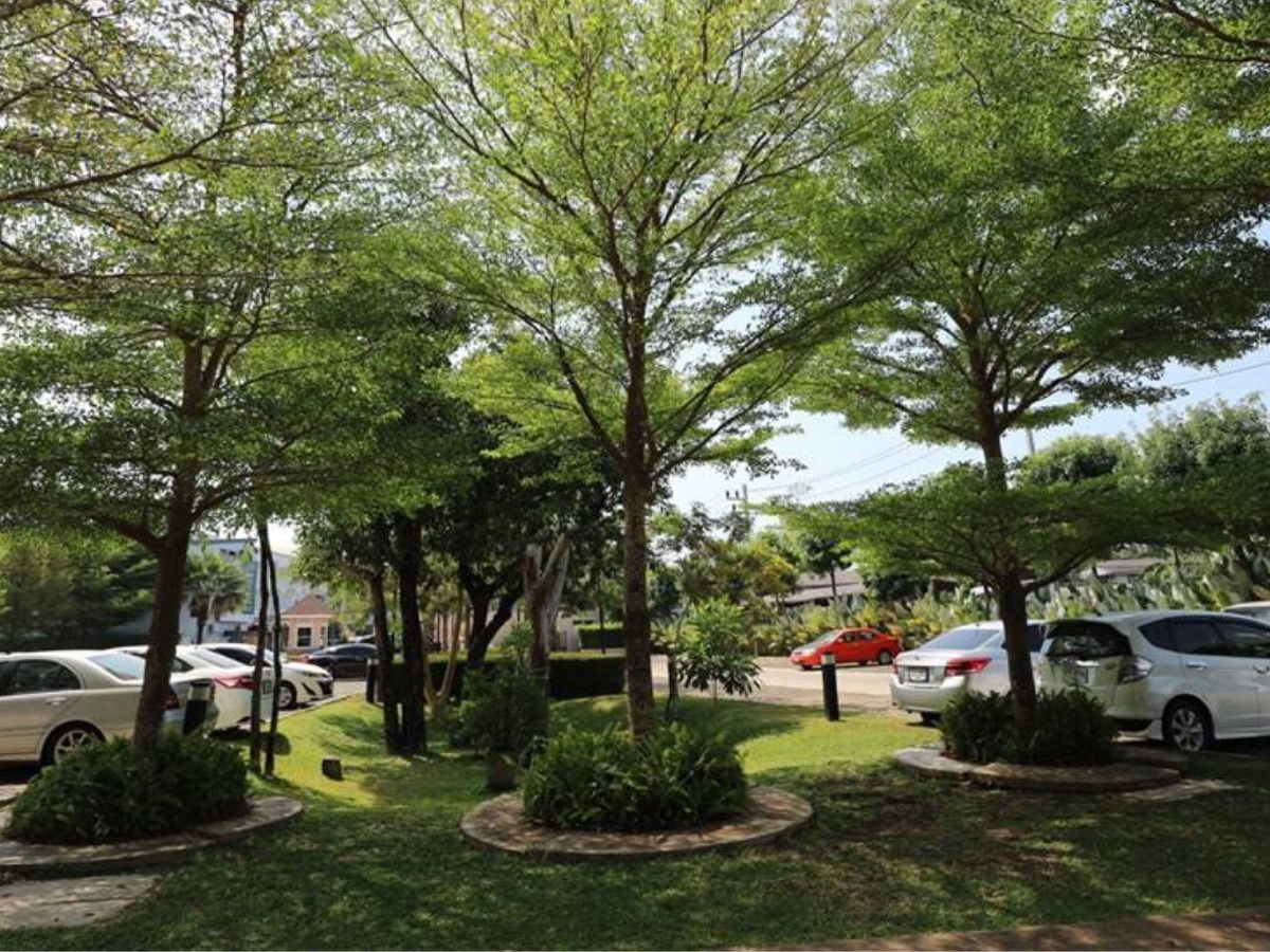 picture condo for rent / fully furnished / ready to move in - 12/12