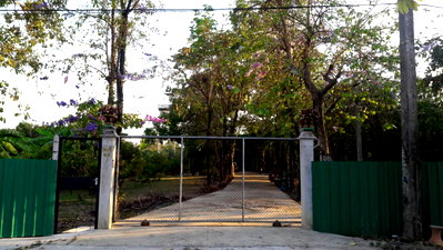 Houses for sale Angthong : B0095 For Sale/Purchase: Two adjacent houses with gardens in Chaiyo District, Ang Thong Province. Affordable price. Interested? Line: @951qfbfi