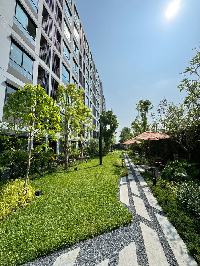 รูป ​🌳 สัมผัสชีวิตสุด Vivid ส่วนกลางจัดเต็มเพื่อเด็ก ม.กรุงเทพ ที่ Dcondo Vivid Rangsit เริ่ม 1.79 ล้าน* 📞 โทร. 065-4496399 / 💚 Line: @wsrcondo - รูปที่ 5/12