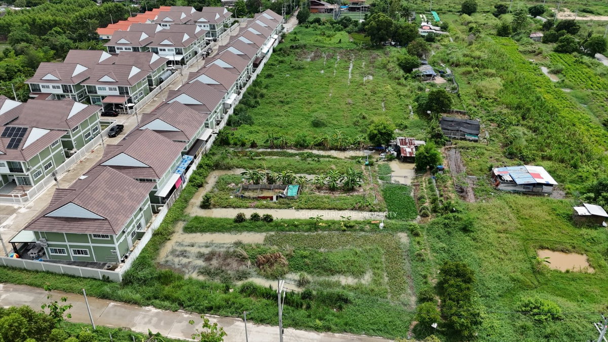 รูป ขายที่ดิน 5 ไร่กว่า ทำเลทอง เครือสหพัฒน์ หนองคล้า ศรีราชา - รูปที่ 13/14