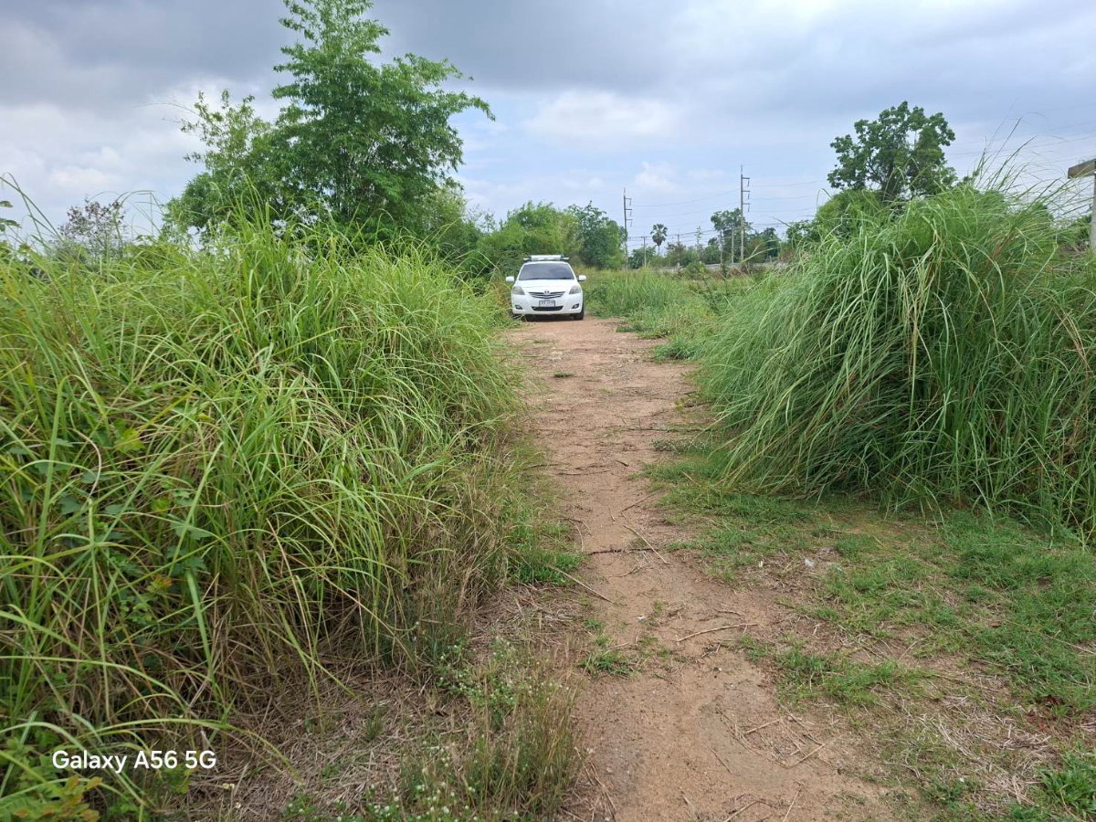 รูป ขายที่ดิน 31 ไร่ 322 ตร.วา ติดถนนใหญ่ หนองขาหย่าง อุทัยธานี ผังเมืองสีชมพู - รูปที่ 4/17
