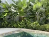 listing thumbnail image 36