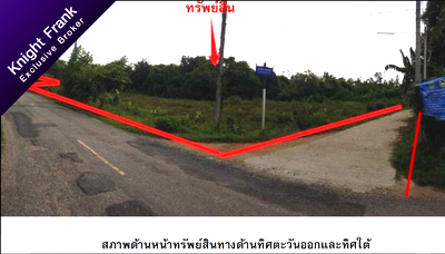 บ้านเดี่ยว ป่าบอน พัทลุง : ที่ดินว่างเปล่า 9513.3 ตร.วา ป่าบอน-พัทลุง ป่าบอน พัทลุง 62M