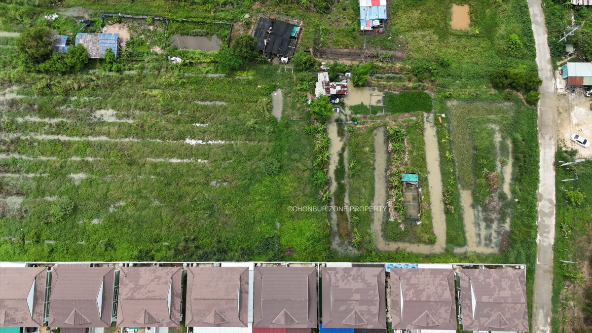 รูป ขายที่ดิน 5 ไร่กว่า ทำเลทอง เครือสหพัฒน์ หนองคล้า ศรีราชา - รูปที่ 14/14