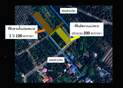 ที่ดิน สมุทรสงคราม : ขายที่ดินสวนส้มโอ เนื้อที่ 2 ไร่ ติดถนน นำ้ไฟพร้อม แบ่งขายได้ เจ้่าของขายเอง