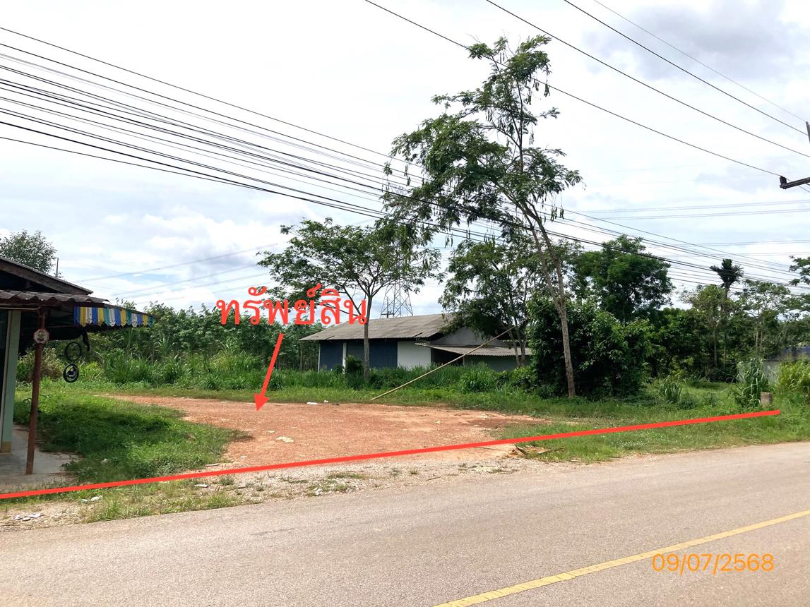 รูป บ้านเดี่ยว 343 ตร.วา พุนพิน สุราษฎร์ธานี 2.9M - รูปที่ 20/24