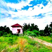 บ้านเดี่ยว กรุงเทพมหานคร : บ้าน 2-ห้องนอน ใน หนองจอก (ID 2913380)