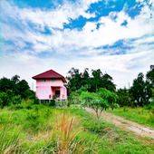 picture 2-BR House in Nong Chok (ID 2913380) - 1/11