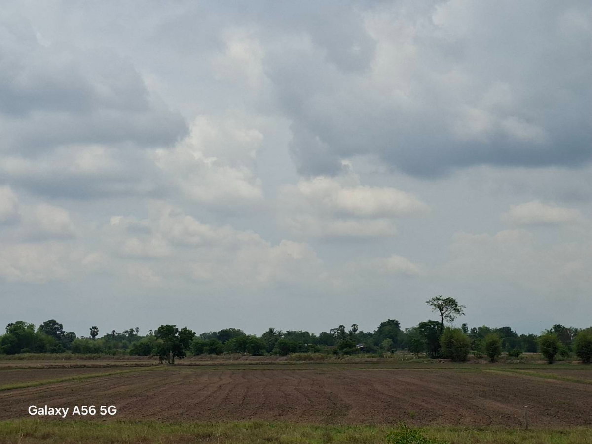 รูป ขายที่ดิน 31 ไร่ 322 ตร.วา ติดถนนใหญ่ หนองขาหย่าง อุทัยธานี ผังเมืองสีชมพู - รูปที่ 2/17