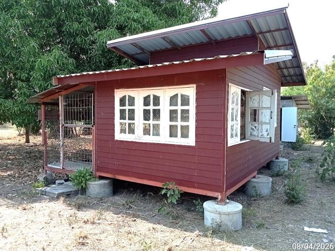 รูป บ้านเดี่ยว 100 ตร.วา ประทาย นครราชสีมา 353,000 - รูปที่ 1/18